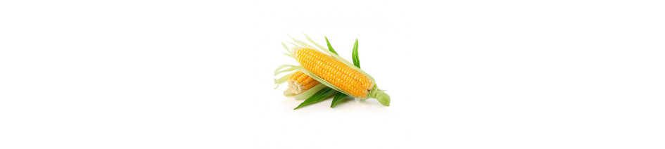 Corn