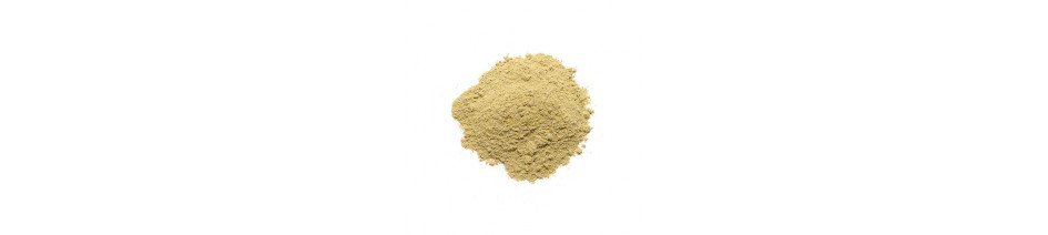 rosemary powder