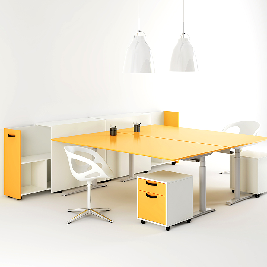 Morbi condimentum molestie