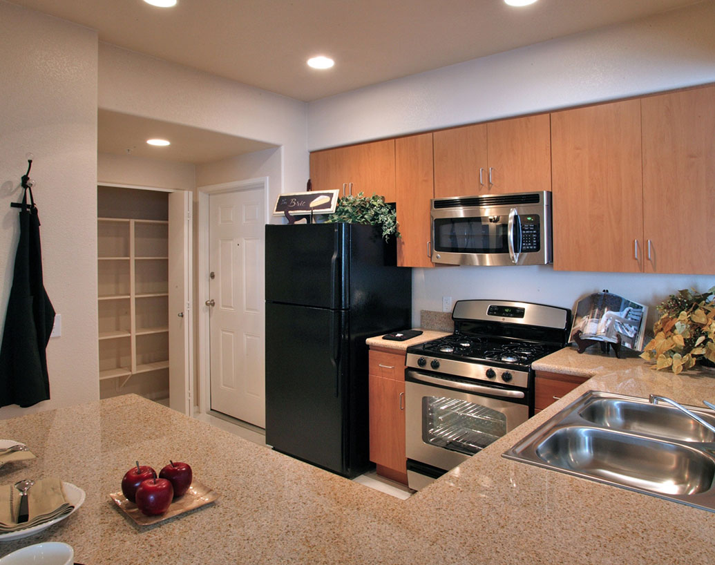 Turpis at eleifend ps